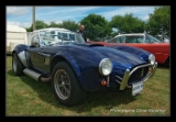 AC Cobra Pilgrim-1